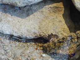 Tiergarten Schönbrunn am 24.02.2026